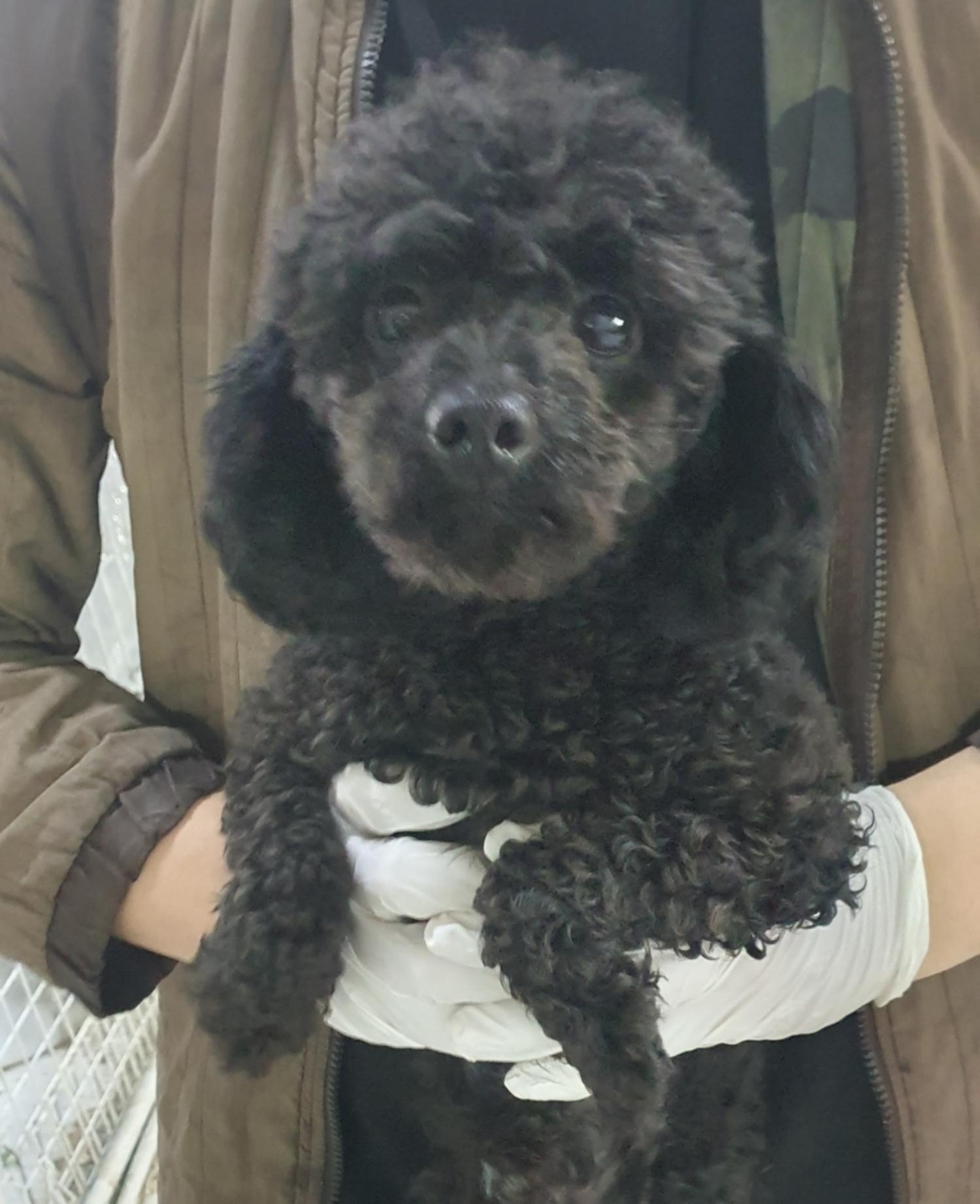 인천광역시수의사회_428351202500028